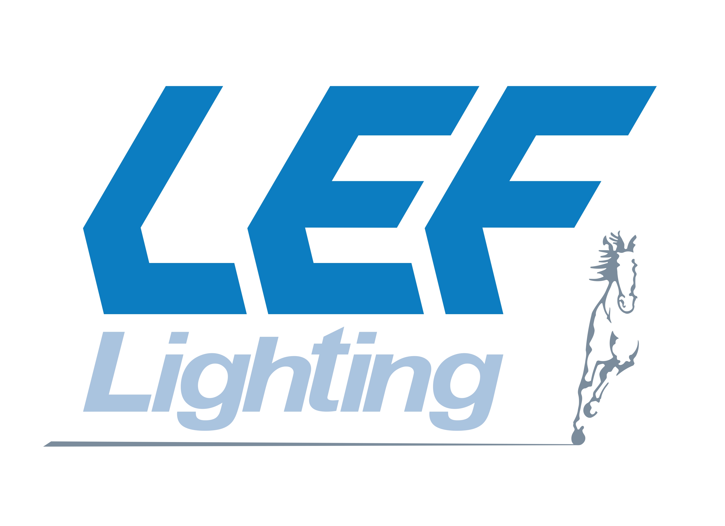 LEF LIGHTING